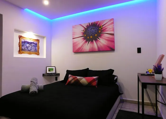 Apartamento Depa Privado Estadio Gnp -foro Sol-, Palacio De Deportes *
