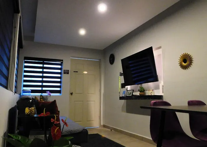 Apartamento Depa Privado Estadio Gnp -foro Sol-, Palacio De Deportes *